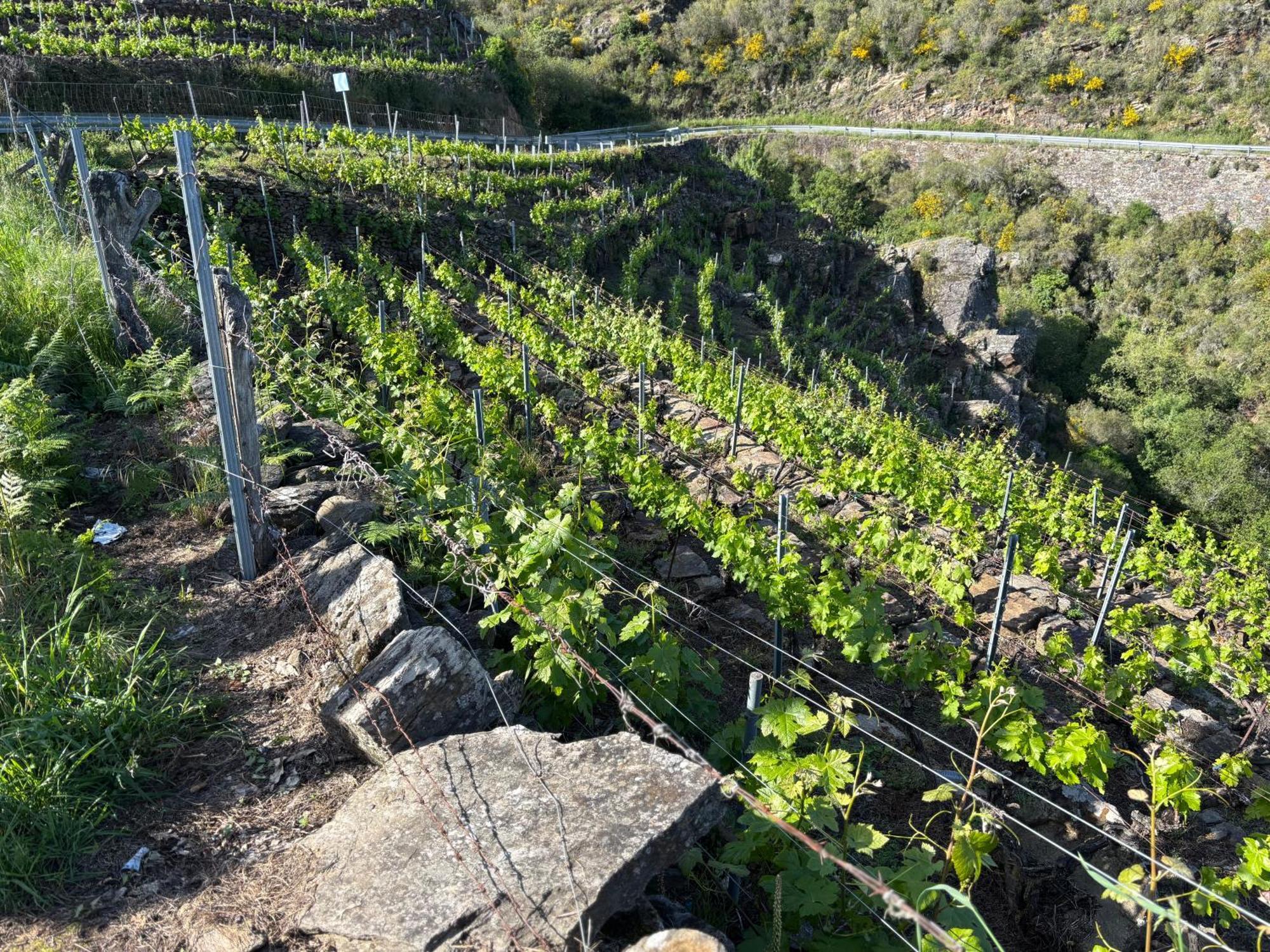 הוילה Trives Casa Da Baltasara מראה חיצוני תמונה